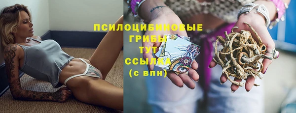 мдма Киреевск
