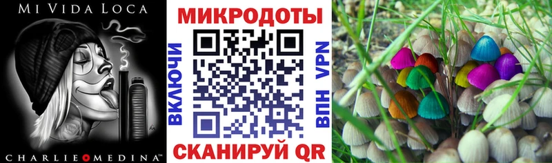 Псилоцибиновые грибы MAGIC MUSHROOMS  цены наркотик  Ногинск 